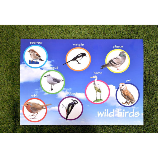 Outdoor Wild Birds Board (60 x 40cm)