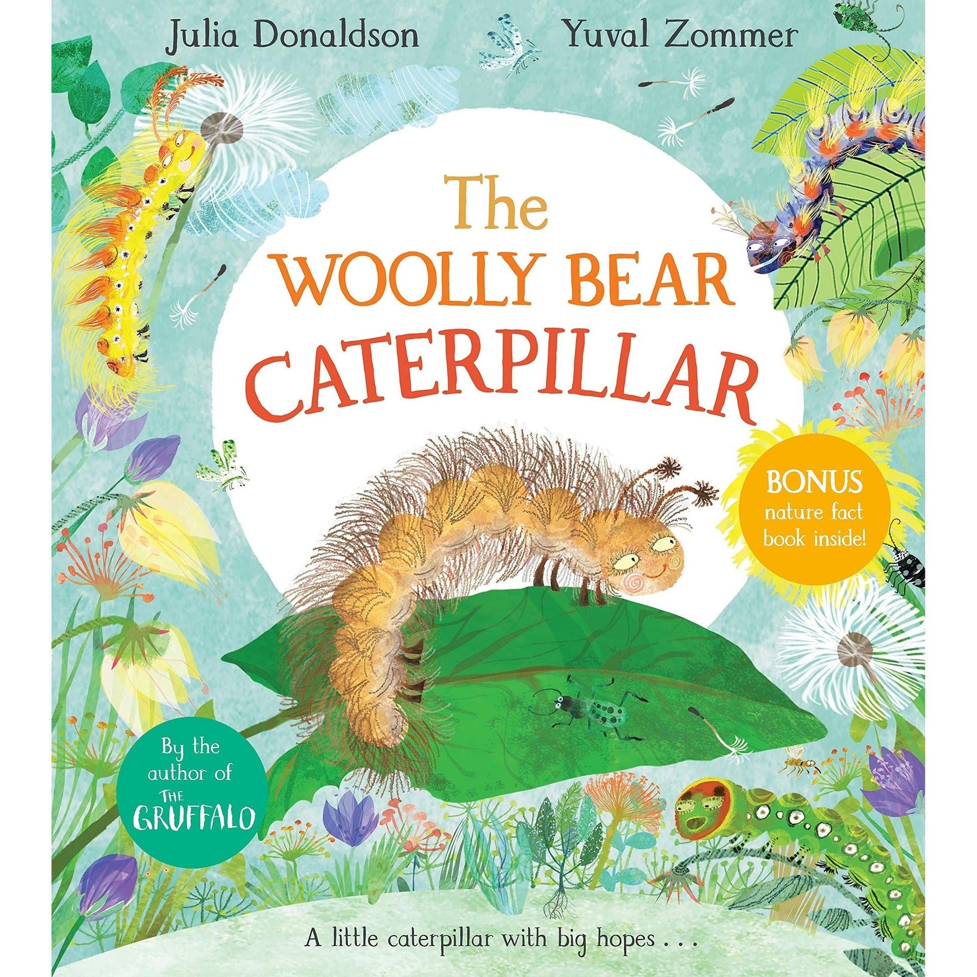 The Woolly Bear Caterpillar - Julia Donaldson & Yuval Zommer (Paperback)